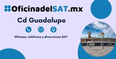 Oficinas SAT en Cd Guadalupe &ndash; Horarios, tel&eacute;fonos y direcciones 2023 1