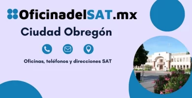Oficinas SAT en Ciudad Obregón – Horarios, teléfonos y direcciones 2023 2 Oficinas SAT en Ciudad Obregón – Horarios, teléfonos y direcciones 2023 2