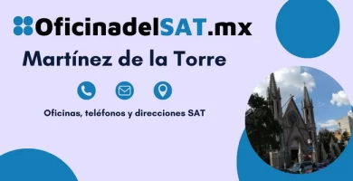 Oficina SAT Mart&iacute;nez de la Torre - Direcci&oacute;n, tel&eacute;fonos y horarios