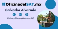 Oficinas SAT en Salvador Alvarado – Horarios, teléfonos y direcciones 2023 4