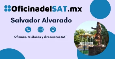 Oficinas SAT en Salvador Alvarado – Horarios, teléfonos y direcciones 2023 4 Oficinas SAT en Salvador Alvarado – Horarios, teléfonos y direcciones 2023 4