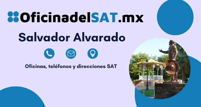 Oficinas SAT en Salvador Alvarado – Horarios, teléfonos y direcciones 2023 5 Sucursales sat Salvador Alvarado telefonos horarios y direcciones